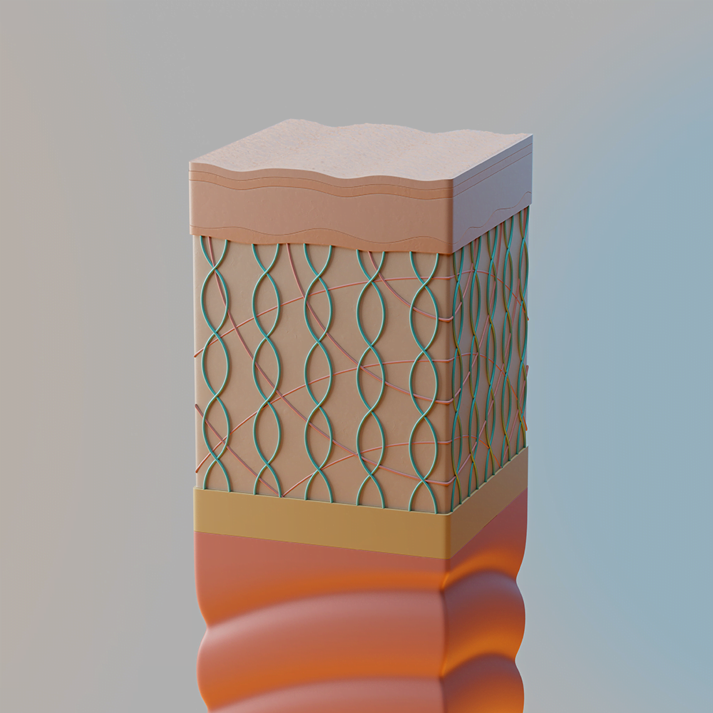 Peau réparée